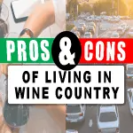 There's pros and cons to living in Napa Valley and Wine Country and today I'm going to talk about what they are