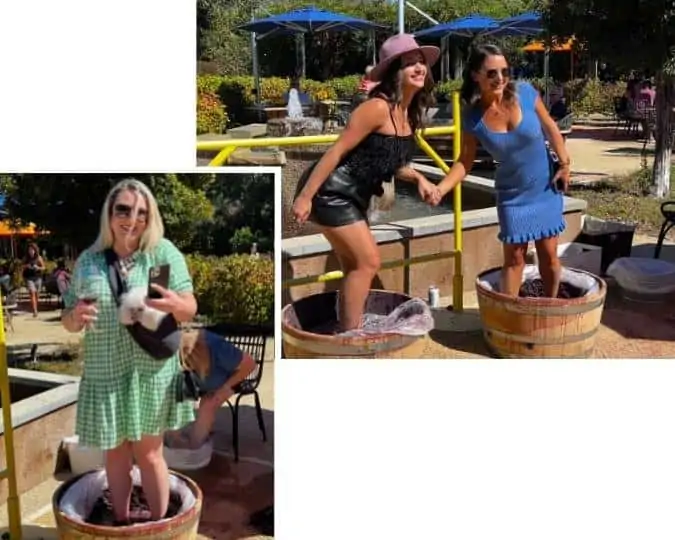 best napa valley things to do - grape stomping